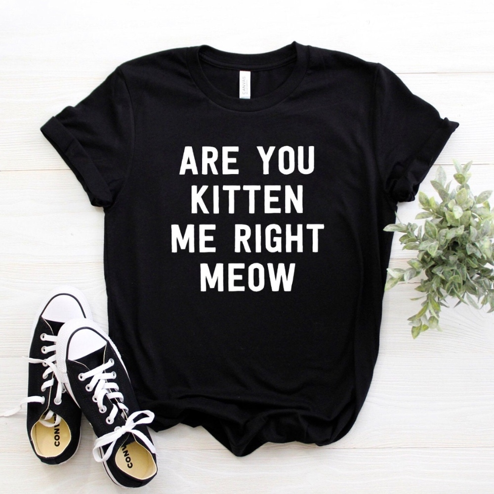 are you kitten me